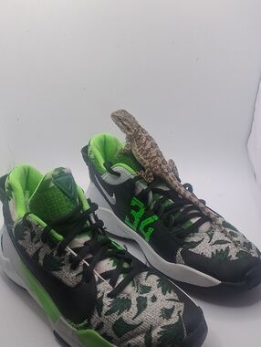 Nike Zoom Freak 2 Black and Neon Green Floral Basketball Shoes Lmtd Edition.
